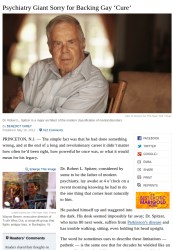 cropped-new-york-times-spitzer