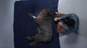 I'm sad, Wilfred. I'm really sad. 