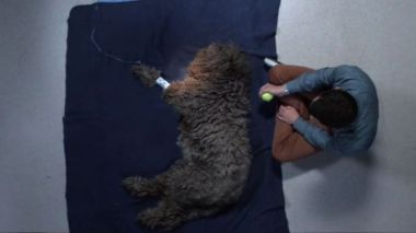 I'm sad, Wilfred. I'm really sad. 